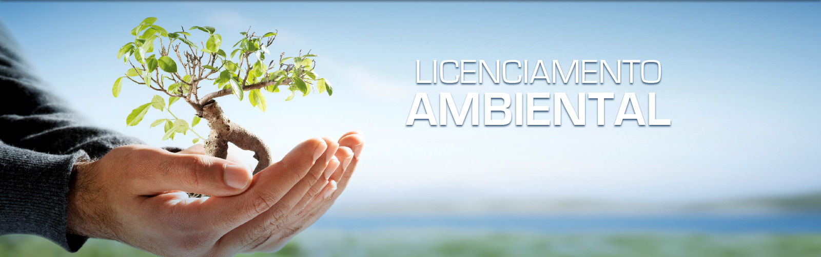 Vince_Slide_Ambiental